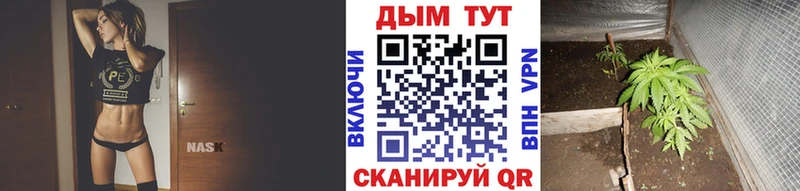 Магазин наркотиков Осинники Гашиш  Codein  Cocaine  Меф  Бошки Шишки 