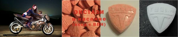 стафф Вязьма
