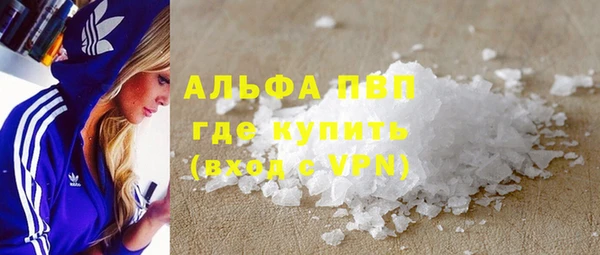 стафф Вязьма